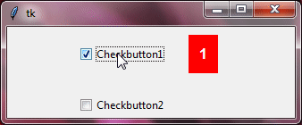 simple ttk checkbutton