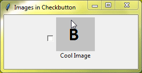 tkinter checkbutton with image and text 
